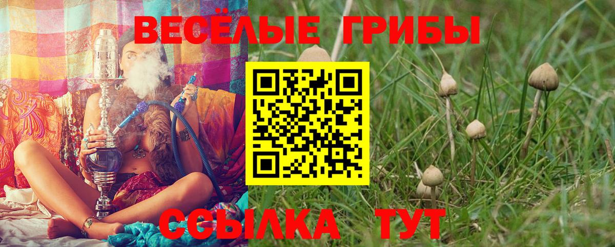 Галлюциногенные грибы GOLDEN TEACHER  Галлюциногенные грибы Magic Shrooms  Сердобск  Вход с VPN 